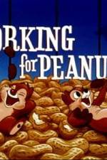 Watch Working For Peanuts 9movies