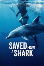 Watch Saved from a Shark 9movies