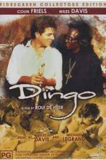 Watch Dingo 9movies