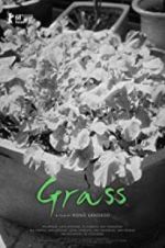 Watch Grass 9movies