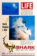 Watch Shark 9movies