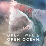 Watch Great White Open Ocean 9movies