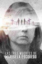 Watch The Three Deaths of Marisela Escobedo 9movies