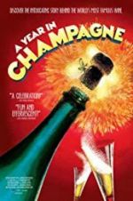 Watch A Year in Champagne 9movies