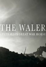 Watch The Waler: Australia\'s Great War Horse 9movies