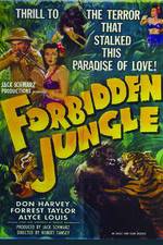 Watch Forbidden Jungle 9movies