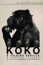 Watch Koko, le gorille qui parle 9movies