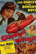 Watch Clipped Wings 9movies