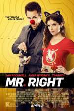 Watch Mr. Right 9movies