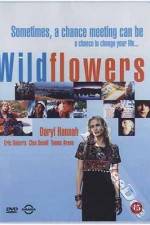 Watch Wildflowers 9movies
