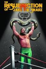 Watch The Resurrection of Jake The Snake Roberts 9movies