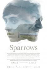 Watch Sparrows 9movies