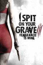 Watch I Spit on Your Grave 3 9movies