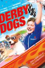 Watch Derby Dogs 9movies