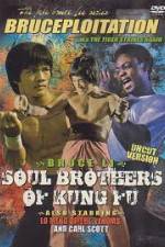 Watch Soul Brothers of Kung Fu 9movies