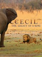 Watch Cecil: The Legacy of a King 9movies