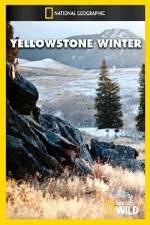 Watch National Geographic Yellowstone Winter 9movies