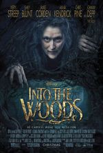 Watch Into the Woods 9movies
