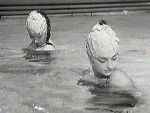 Watch Sirnes modernes (Short 1961) 9movies