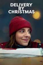 Watch Delivery by Christmas 9movies