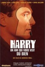 Watch With a Friend Like Harry... 9movies