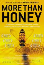 Watch More Than Honey 9movies