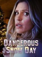 Watch Dangerous Snow Day 9movies