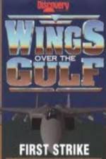Watch Wings Over the Gulf Vol  1  First Strike 9movies