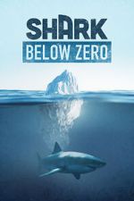 Watch Shark Below Zero 9movies