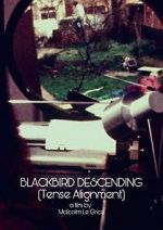 Watch Blackbird Descending 9movies