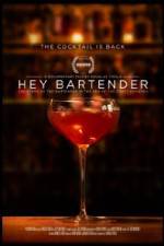 Watch Hey Bartender 9movies