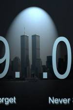 Watch The 911 Liars 9movies