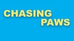 Watch Chasing Paws (Short 2020) 9movies