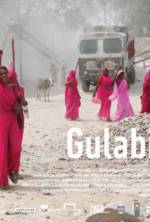 Watch Gulabi Gang 9movies