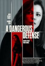 Watch A Dangerous Defense 9movies
