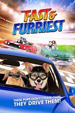 Watch Fast and Furriest 9movies