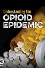 Watch Understanding the Opioid Epidemic 9movies