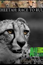 Watch Cheetah: Race to Rule 9movies