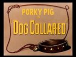 Watch Dog Collared (Short 1950) 9movies