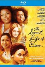 Watch The Secret Life of Bees 9movies