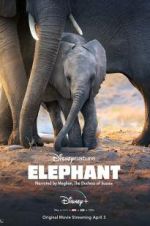 Watch Elephant 9movies