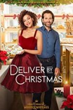 Watch Deliver by Christmas 9movies