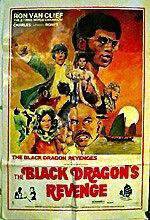 Watch The Black Dragon's Revenge 9movies