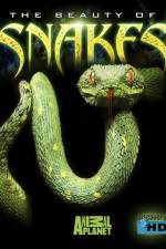 Watch The Beauty of Snakes 9movies