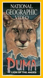 Watch Puma: Lion of the Andes 9movies