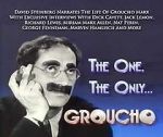 Watch The One, the Only... Groucho 9movies