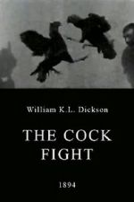 Watch The Cock Fight 9movies