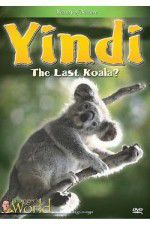 Watch Yindi the Last Koala 9movies