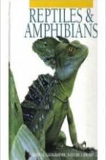 Watch Reptiles and Amphibians 9movies