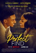 Watch The Perfect Find 9movies